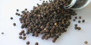 Black Pepper Seeds