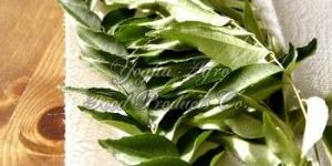 Curry Leaves