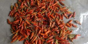 Longi Mirchi Powder