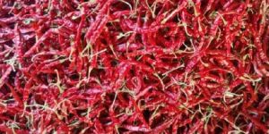 Teja Dry Red Chilli
