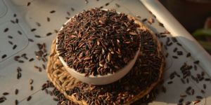 Organic Black Rice