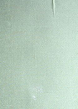 Silk Shantung Fabric