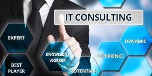 Business IT Consulting Services