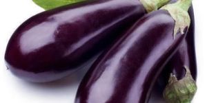 Fresh Brinjal
