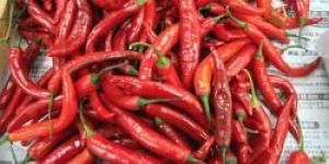 Ramanathapuram Red Chilli