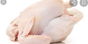 Whole Chicken Meat
