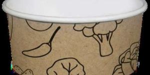 Paper Food Container