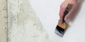 White Damp Proof Paint