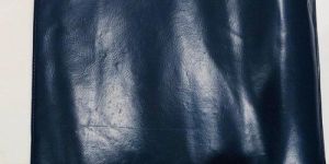 Plastic Blue Pass Book Cover