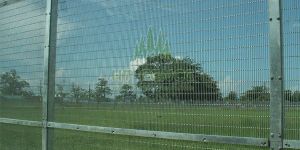Serried Vertical Wire