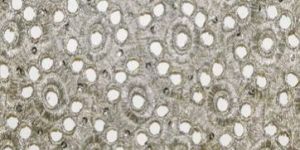 Khushali Cut Work Embroidery