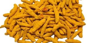Turmeric Finger