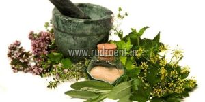 Medicinal Herbs