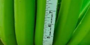 Fresh Green Banana
