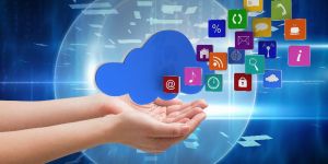 Online Software Development