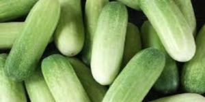 Cucumber
