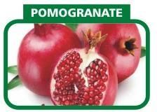 Pomegranate