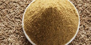 Cumin Powder