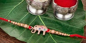 Designer Fancy Rakhi Thread