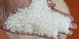 SWARNA MASOORI STEAM RICE