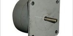 Single Phase AC Synchronous Motor