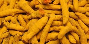 Turmeric Finger