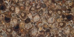 Petrified Wood Semi Precious Stone Slab