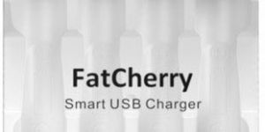 AA AAA Battery Charger