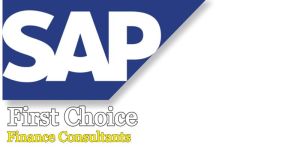 Financial Software Services