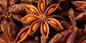 Star Anise Seeds