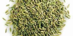 Thin Fennel Seeds