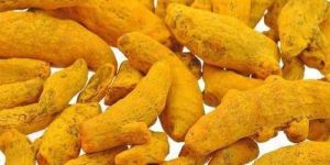 Turmeric Finger