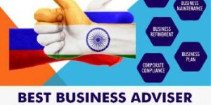 Business Development Consultancy Services