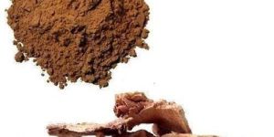 Arjun Bark Extract