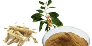 Ashwagandha Extract