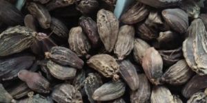Black Cardamom