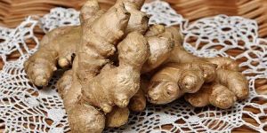 Fresh Ginger