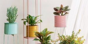 Fancy Flower Pot Stand