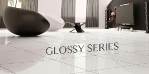 600600 Mm Glossy Series GVT Tiles
