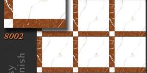 8002 Glossy Finish Porcelain Tiles
