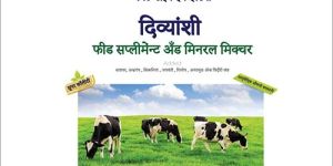 Cattle Feed Supplement