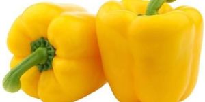 Fresh Yellow Capsicum