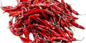 Teja Red Chilli