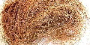 Coconut Coir