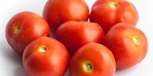 Organic Tomato