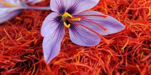 Natural American Saffron