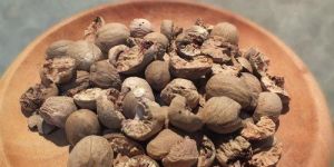 Nutmeg Chips