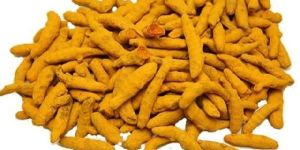 Turmeric Finger