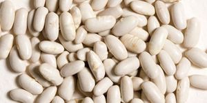 Cannellini Beans