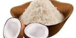 Desiccated Coconut Powder
